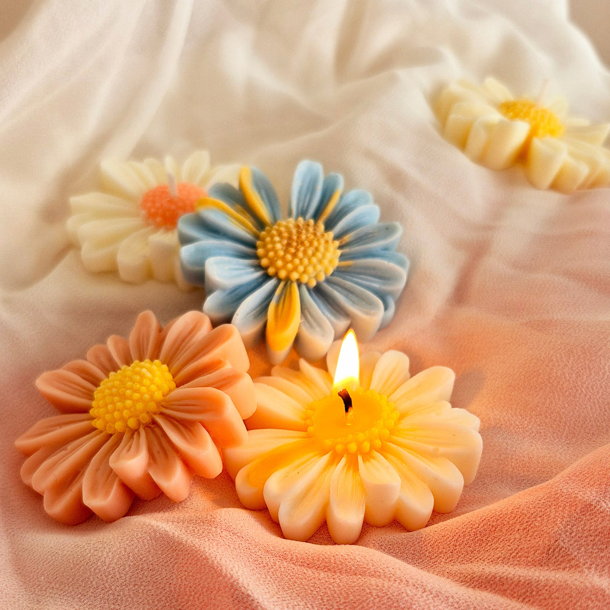 Chamomile Bloom