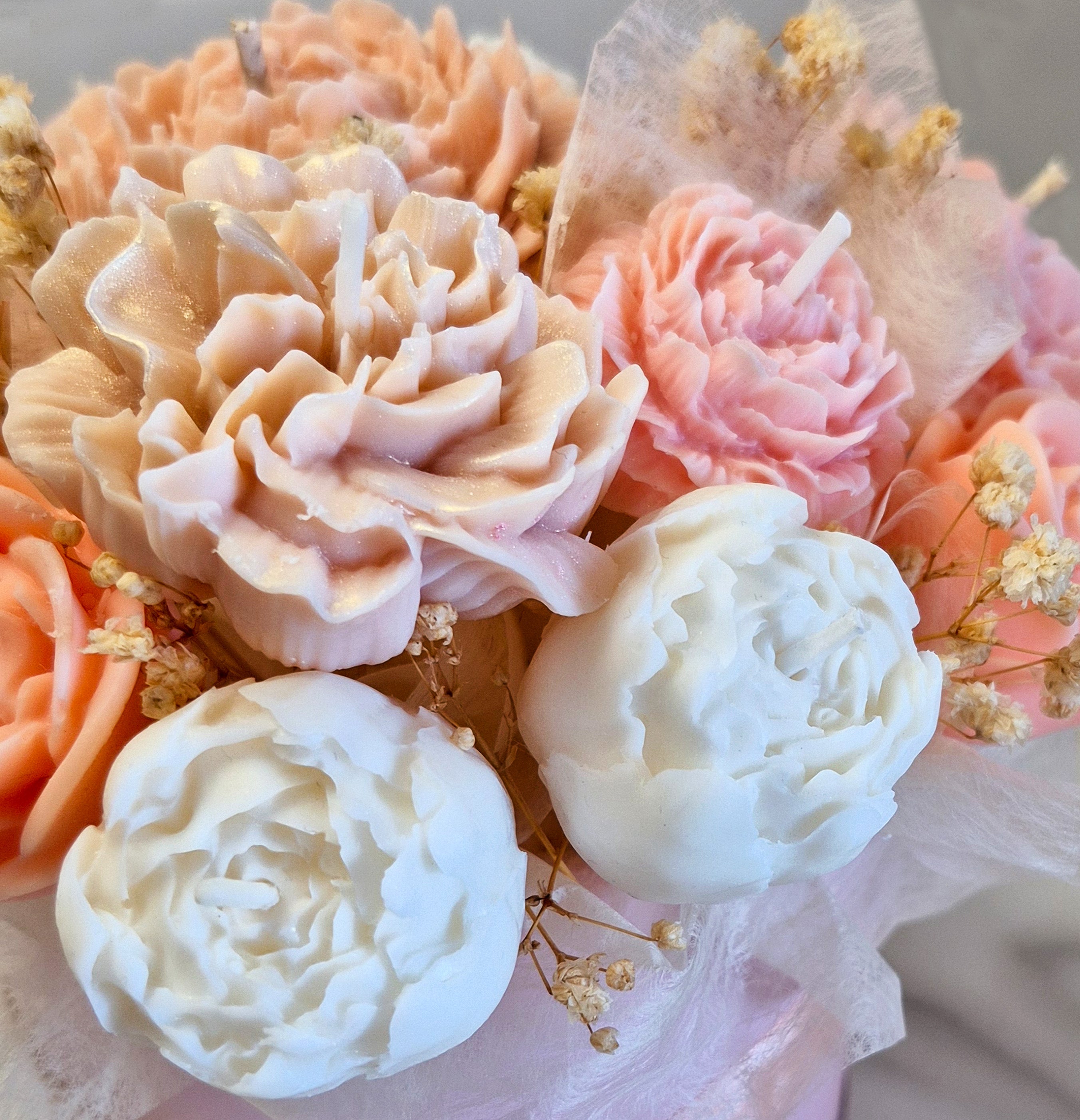 Bloom Blush