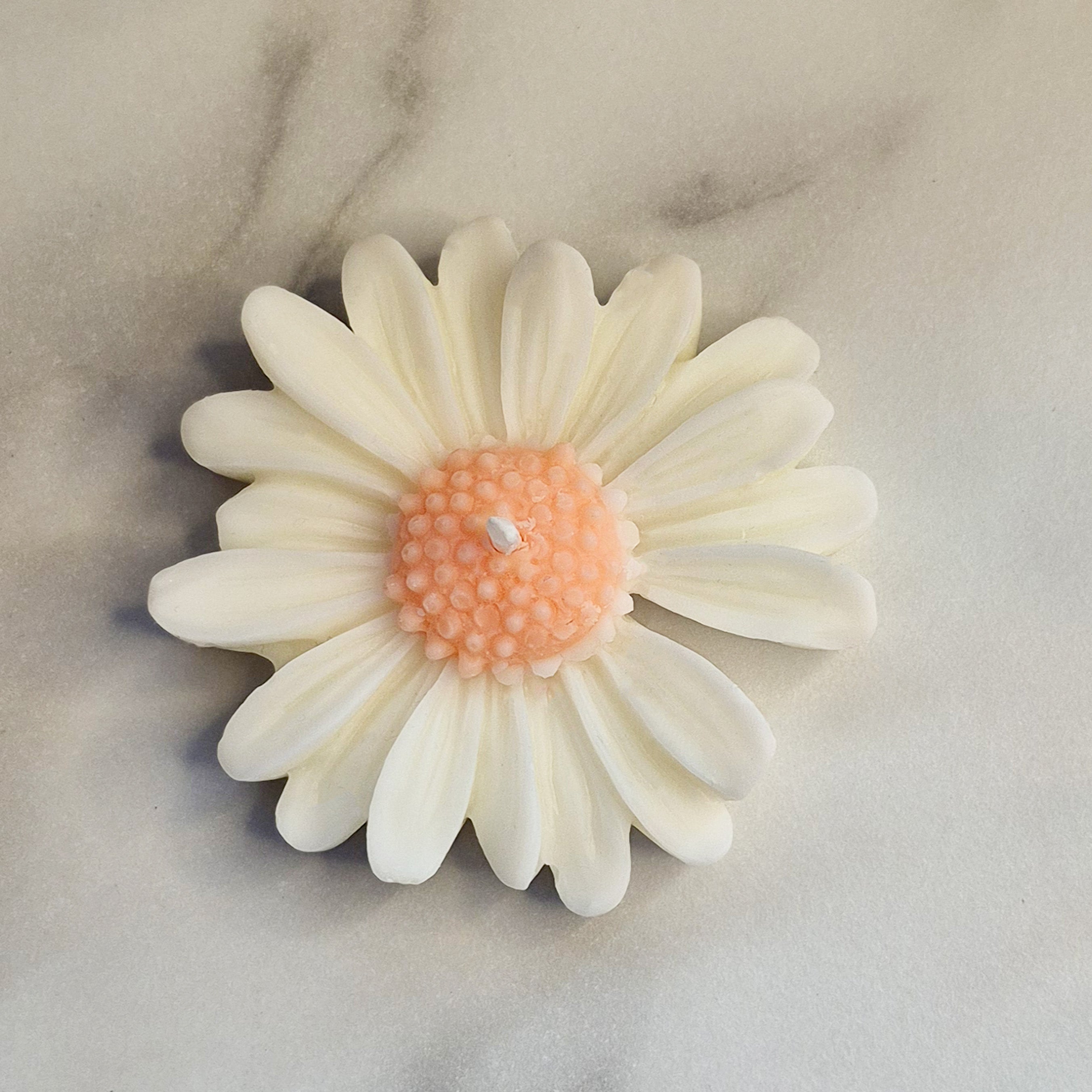 Chamomile Bloom